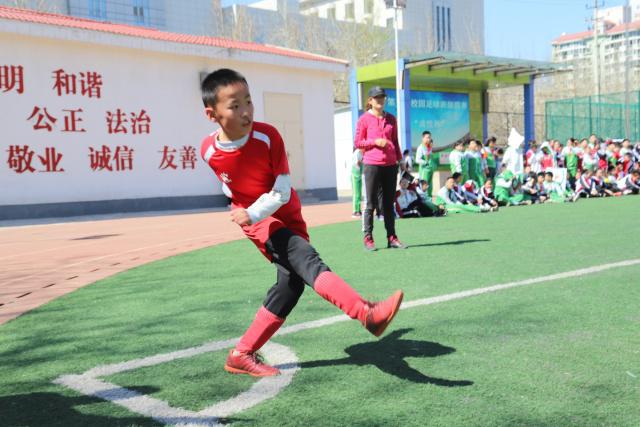 下载八戒体育
